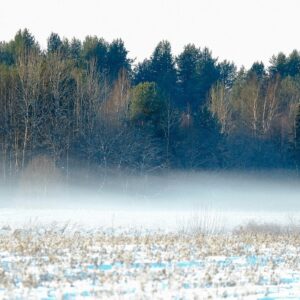 Mensen kunnen ontregeld raken door koude winters