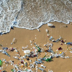 Hoe afbreekbaar zijn ‘milieuvriendelijke’ plastics?