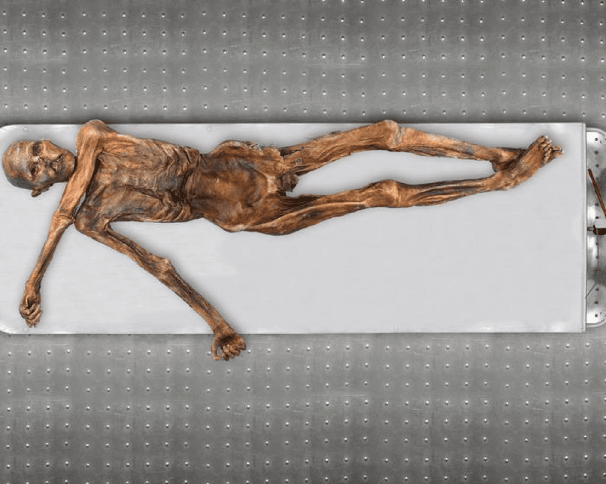 IJsmummie Ötzi had een donkere huid en kwam uit een boerengeslacht ...