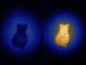 quantummechanica-kat-onzekerheid