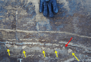 De gevonden structuur uit rotsen in Groenland. Beeld: Abigail Allwood