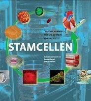 stamcellen-mummery