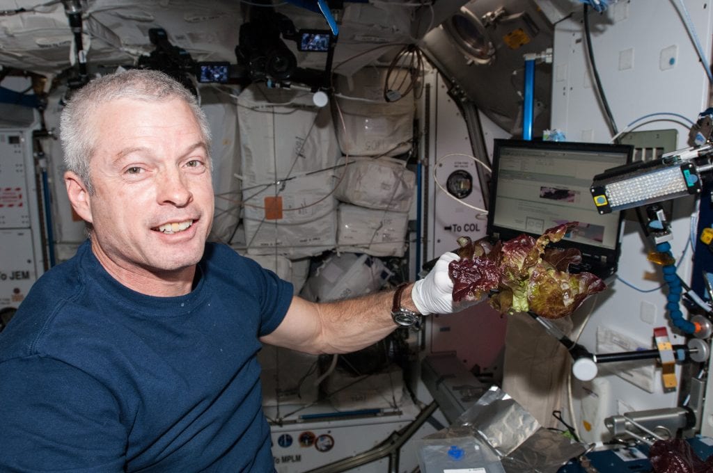 Astronaut Steve Swanson oogsts ruimtesla in juni 2014