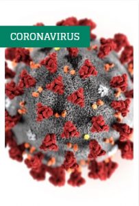 Dossier coronavirus