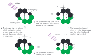 De moleculaire motor van Ben Feringa werkt schematisch op deze manier. Beeld: Johan Jarnestad/The Royal Swedish Academy of Sciences