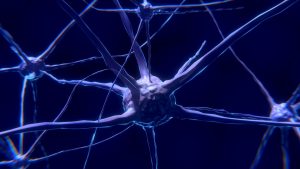 Supergeleidende kunstmatige synaps maakt breinachtige computer mogelijk
