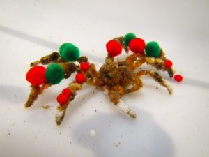 Deze koddige krabben versieren zichzelf alsof ze een kerstboom zijn